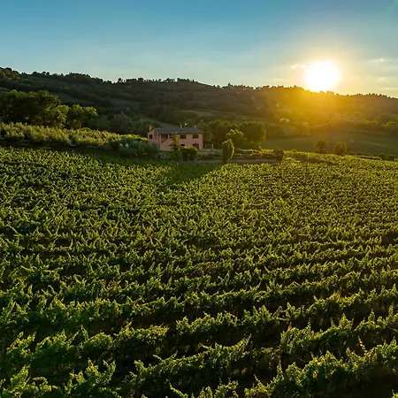 Scappo In Umbria,mevania Vila