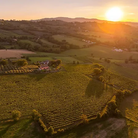 Villa Scappo In Umbria,mevania