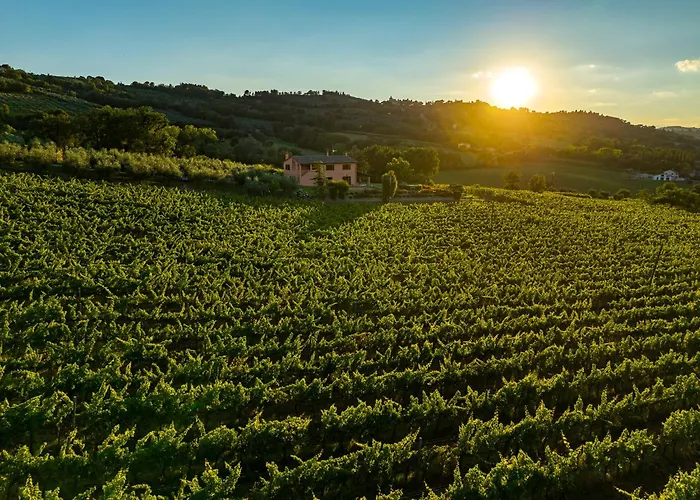 Scappo In Umbria, Mevania Вилла